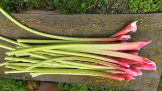 Rebarbara 400g (Az egyholdas pagony zöldjei )